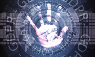 开云官方网页登录-体育新闻中心上线智能体育赛事数据可视化系统，智能体育运动平台